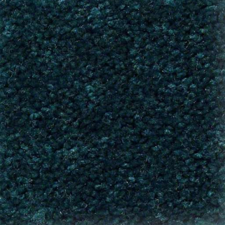 Shaw Floors QS407 07301 SHAW