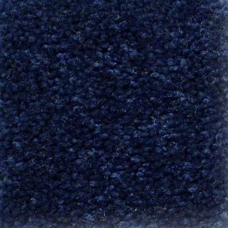 Shaw Floors QS407 07402 SHAW