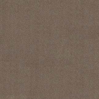 Shaw Floors Canyon Lake Granite SHAW