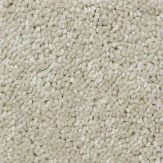 Shaw Floors QS407 07700 SHAW