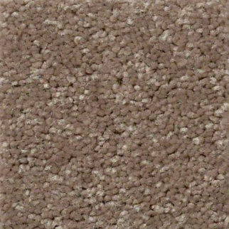 Shaw Floors QS407 07791 SHAW