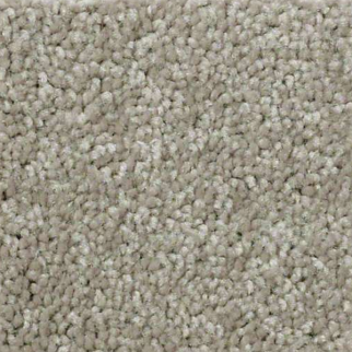 Shaw Floors QS407 07792 SHAW