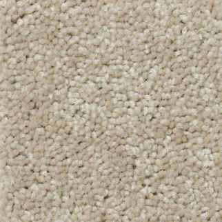 Shaw Floors QS407 07793 SHAW