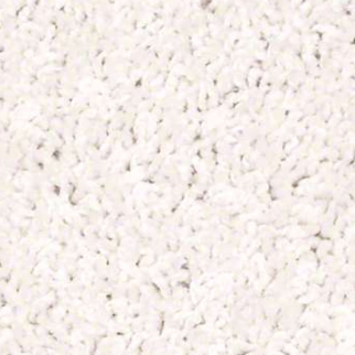 Shaw Floors Fielders Choice 12 Halo SHAW