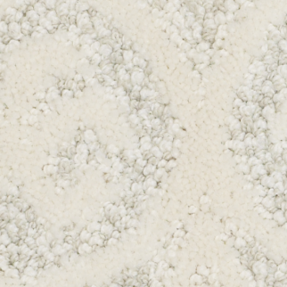 Tuftex Modern Amenities Icelandic SHAW