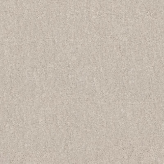 Shaw Floors Easy Spirit III 12 Minimalist SHAW