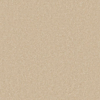 Shaw Floors Awaken Spirit II 15' Sunlight SHAW