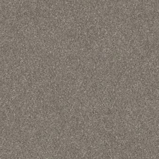 Shaw Floors Without Limits III Abalone SHAW