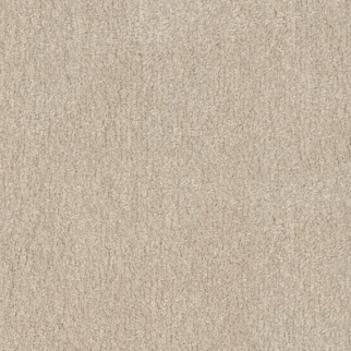 Shaw Floors Easy Spirit III 12 Bleached SHAW