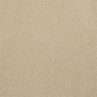 Masland Carpets Embrace Citron Masland