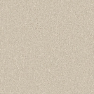 Shaw Floors Awaken Spirit II 12' Cream SHAW