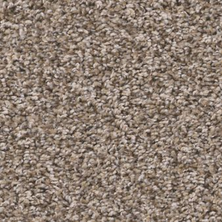 Shaw Floors Soft Radiance Folklore SHAW