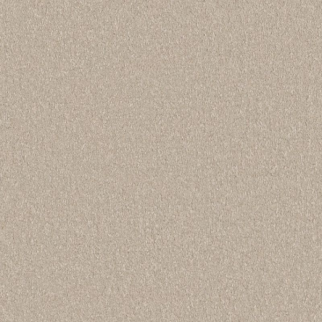 Shaw Floors Awaken Spirit II 15' Cloud SHAW