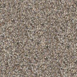 Shaw Floors Soft Effervescence Nutria SHAW