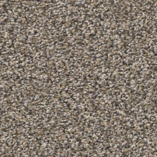 Shaw Floors Soft Radiance Nutria SHAW