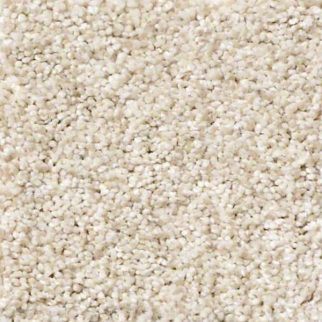 Shaw Floors Anso It Goes Pebble SHAW