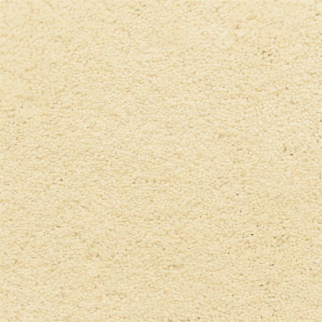 Masland Carpets Ravishing Enchanting Masland