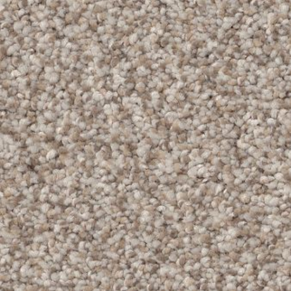 Shaw Floors Truspirit I Mist SHAW