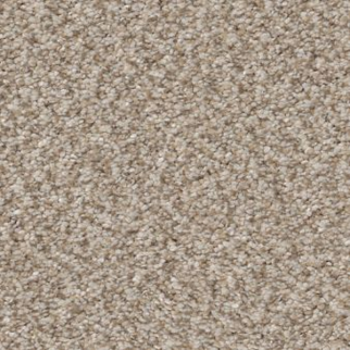 Shaw Floors Trusplendor Mist SHAW