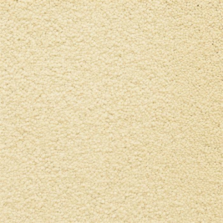Masland Carpets Ravishing Enticing Masland