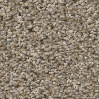Shaw Floors Always Right I Parchment SHAW