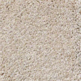 Shaw Floors Ultimate Expression 15' Soft Shadow SHAW
