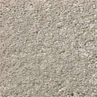 Shaw Floors Solidify III 15 Greige SHAW