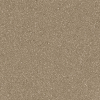 Shaw Floors Awaken Spirit I 12' Muffin SHAW