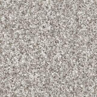 Shaw Floors Yes You Can I 12' Frozen SHAW