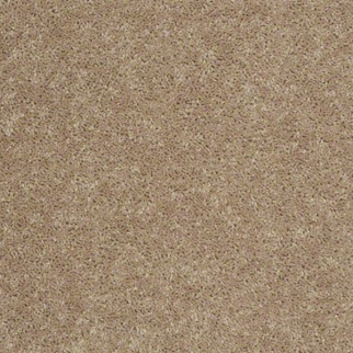 Shaw Floors All Star Weekend I 15' Tassel SHAW