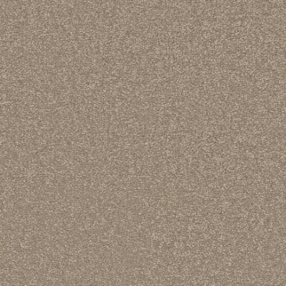 Shaw Floors Awaken Spirit I 12' Fresco SHAW