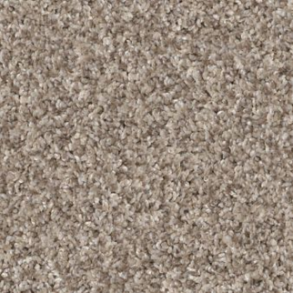 Shaw Floors Yes You Can I 15' Natural SHAW