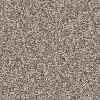 Shaw Floors Affirmation II Plateau SHAW