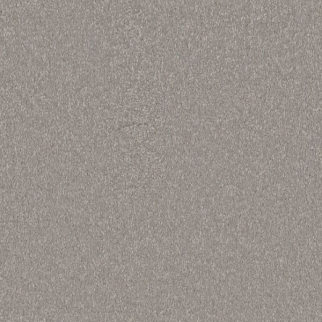 Shaw Floors Awaken Spirit II 15' Subtle Touch SHAW