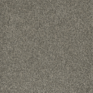 Dreamweaver Carpet Astounding II Rockwell DREAMWEAVER