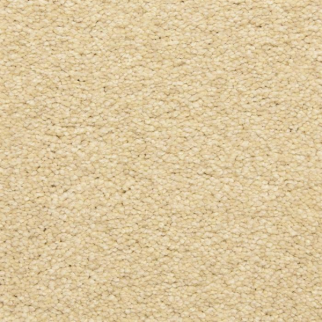 Masland Carpets Staccato Sonata Masland