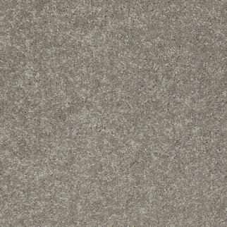 Shaw Floors Newbern Classic 12 Pebble Path SHAW
