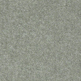 Shaw Floors Dyersburg Classic 12' Pebble Path SHAW