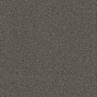 Dreamweaver Carpet Titan I Pinehurst DREAMWEAVER
