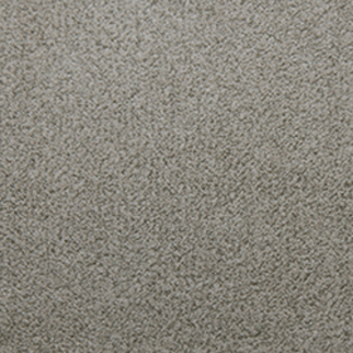Tarkett Home Carpets Soft Spoken Assurance LEXMARK
