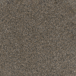 Dreamweaver Carpet Trendsetter I Imperial Sable DREAMWEAVER
