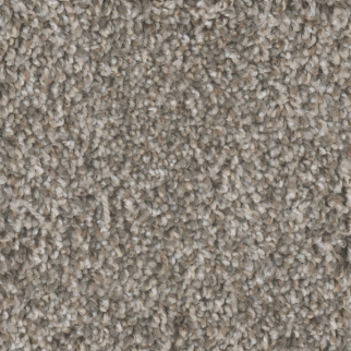 Dreamweaver Carpet Jackson Hole I Edgewood DREAMWEAVER