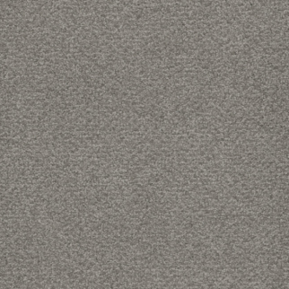 Tarkett Home Carpets Serenade Coin LEXMARK