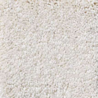 Shaw Floors Magic At Last IV 12' Parmesan SHAW