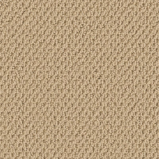 Tuftex Gracious Plateau SHAW