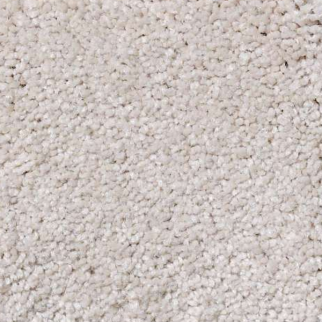 Shaw Floors Magic At Last III 15' Sea Salt SHAW