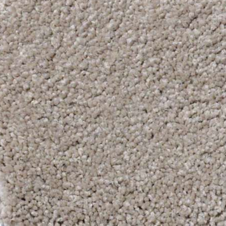 Shaw Floors Magic At Last III 15' Balanced Beige SHAW