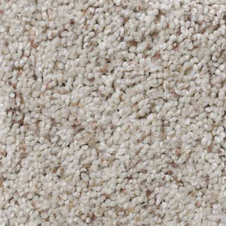 Shaw Floors That's Right Apple Blossom SHAW