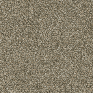 Dreamweaver Carpet Brazen II Olympic DREAMWEAVER