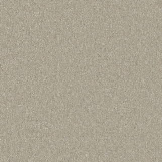 Shaw Floors Awaken Spirit I 12' Whiskers SHAW